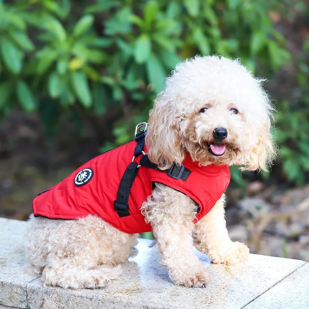 Norbi Pet Warm Jacket XXL - Harness Design, Comfortable & Stylish - Picture 2 of 6